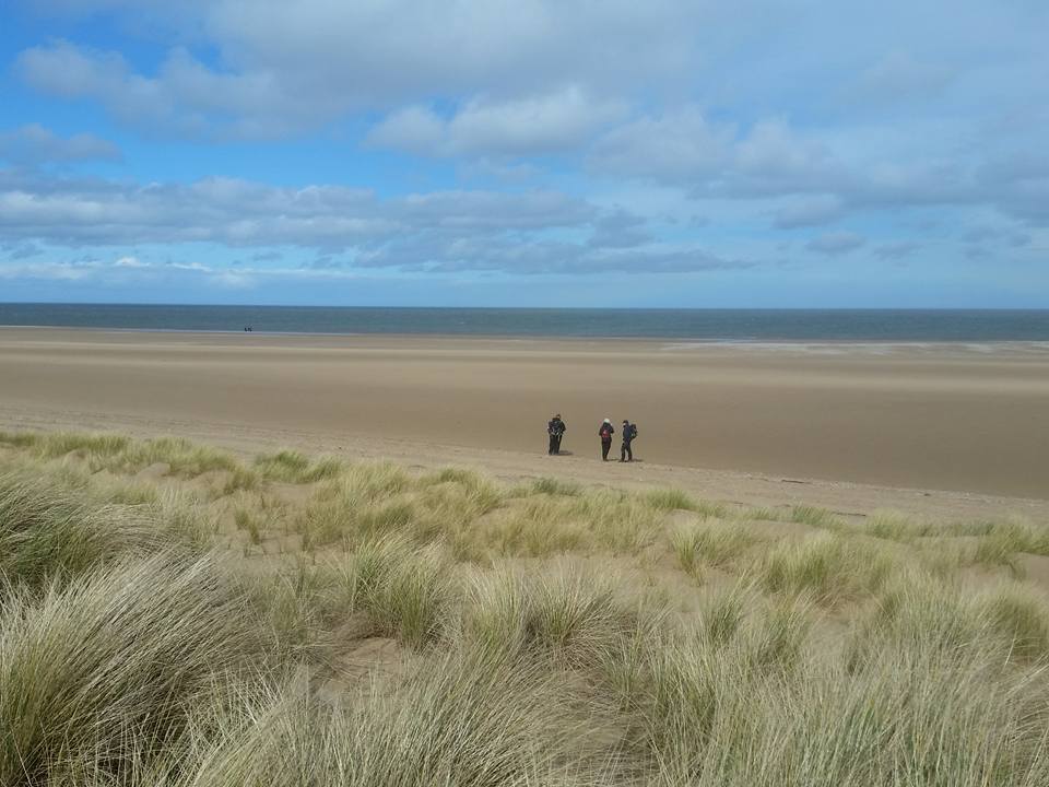 From a Hike Norfolk walk at Holkham